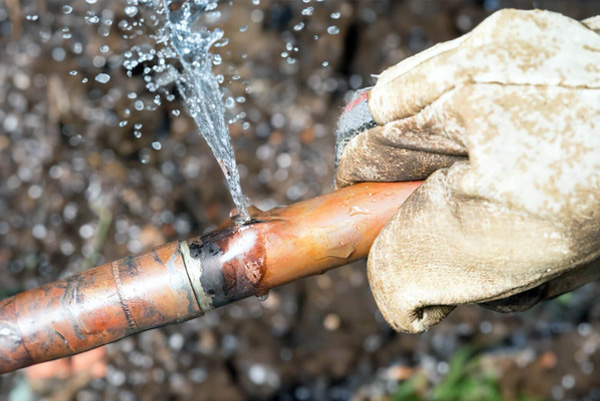 Emergency Services Image